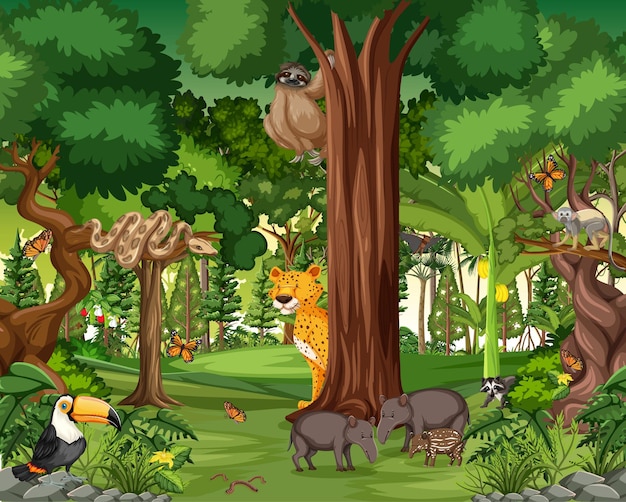 Escena de la selva tropical con animales salvajes.