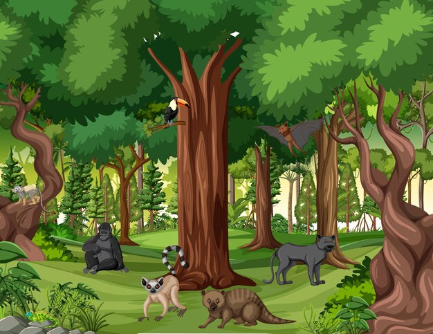 Escena de la selva tropical con varios animales salvajes.