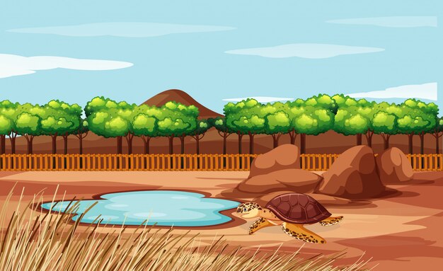 Escena con tortuga en el zoológico