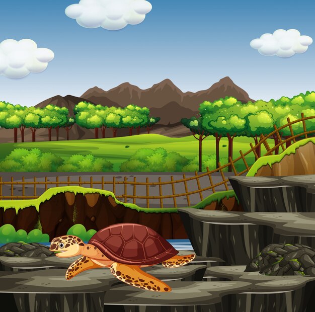 Escena con tortugas marinas en el zoológico