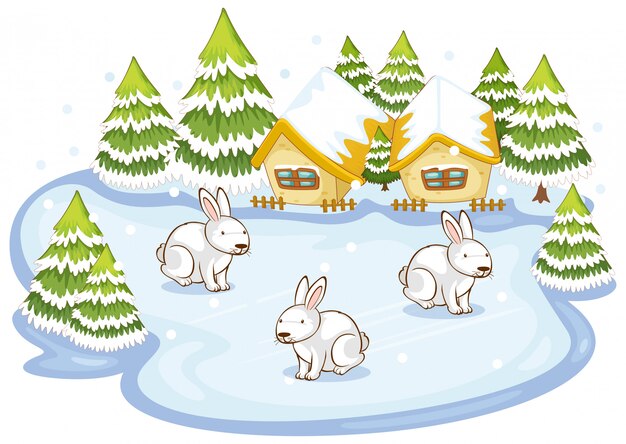 Escena con tres conejos en campo de nieve