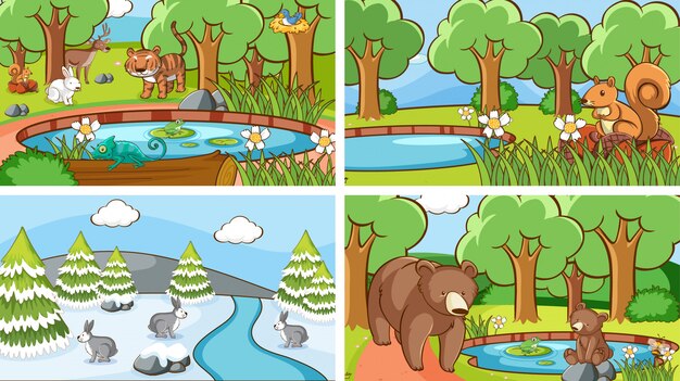 escenas de animales en la naturaleza