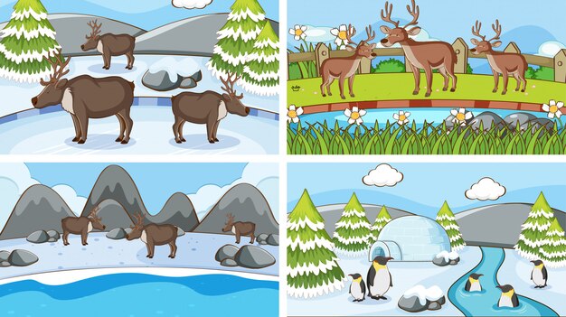 Escenas de fondo de animales en la naturaleza.