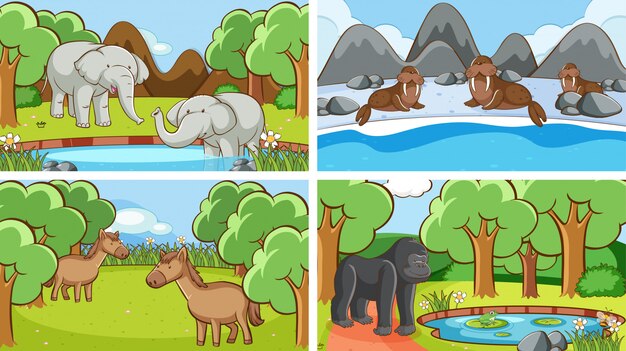 Escenas de fondo de animales salvajes
