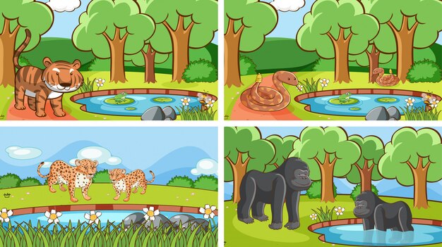 Escenas de fondo de animales salvajes
