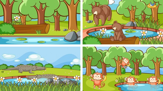 Escenas de fondo de animales salvajes