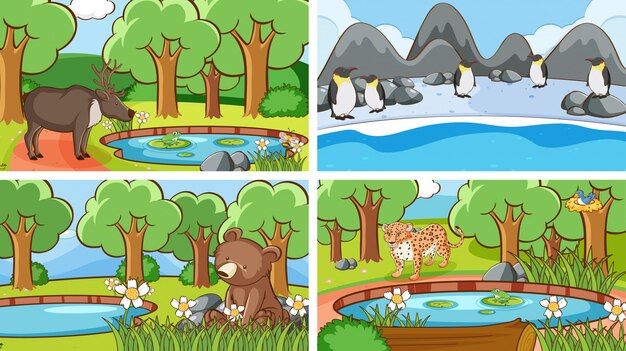 Escenas de fondo de animales salvajes