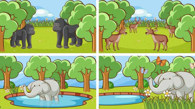 Escenas de fondo de animales salvajes