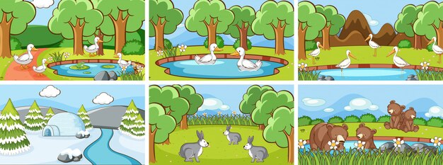 Escenas de fondo de animales salvajes
