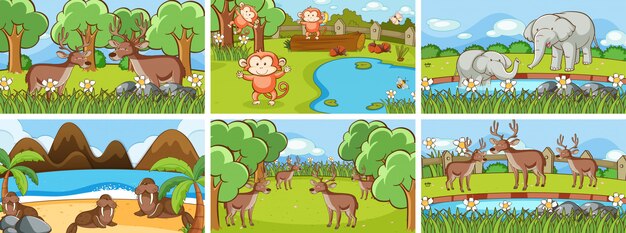 Escenas de fondo de animales salvajes