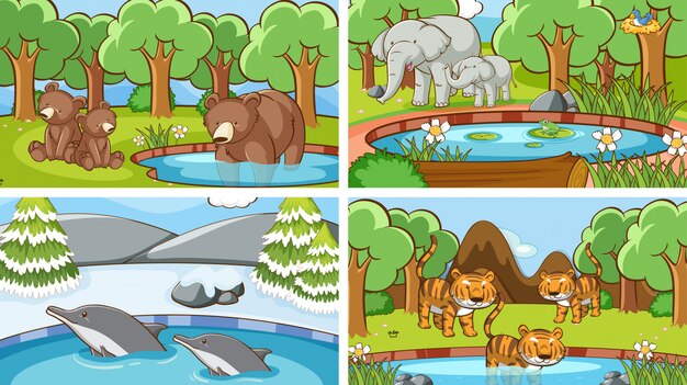 Escenas de fondo de animales salvajes