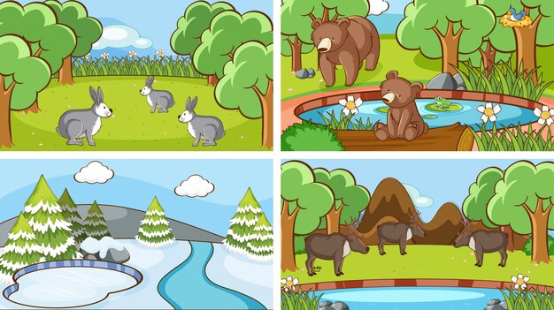 Escenas de fondo de animales salvajes
