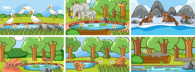 Escenas de fondo de animales salvajes