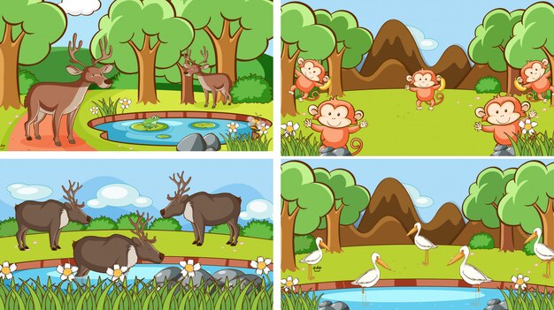 escenas de ilustración de animales en estado salvaje