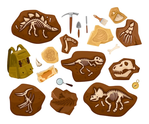 Vector gratuito esqueleto de dinosaurio conjunto arqueológico de imágenes aisladas con mochila de herramientas y hallazgos de huesos antiguos en ilustraciones de vectores de piedras