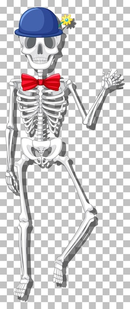 Esqueleto humano en el fondo de la cuadrícula