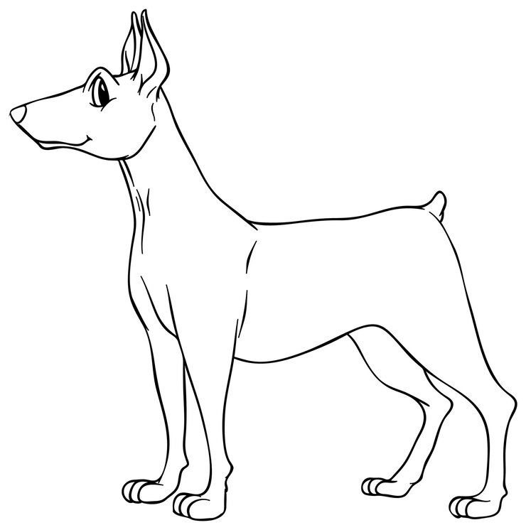 Vector gratuito esquema animal para perro