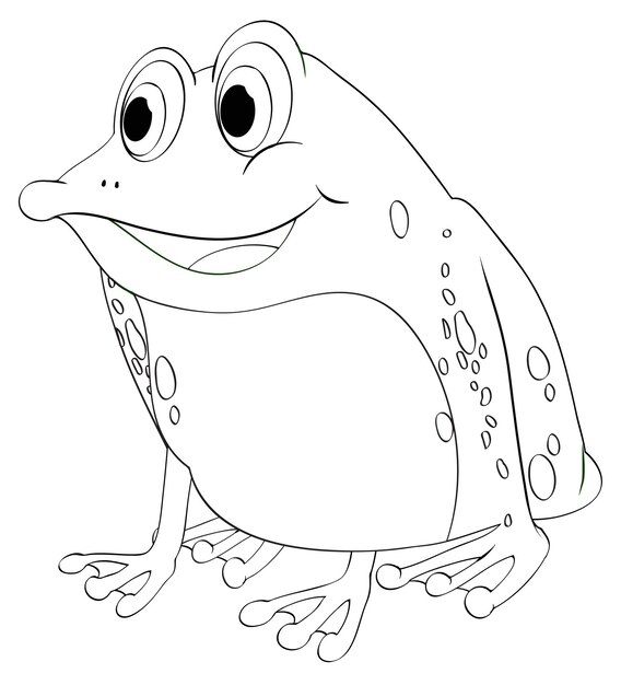 Esquema animal para rana.