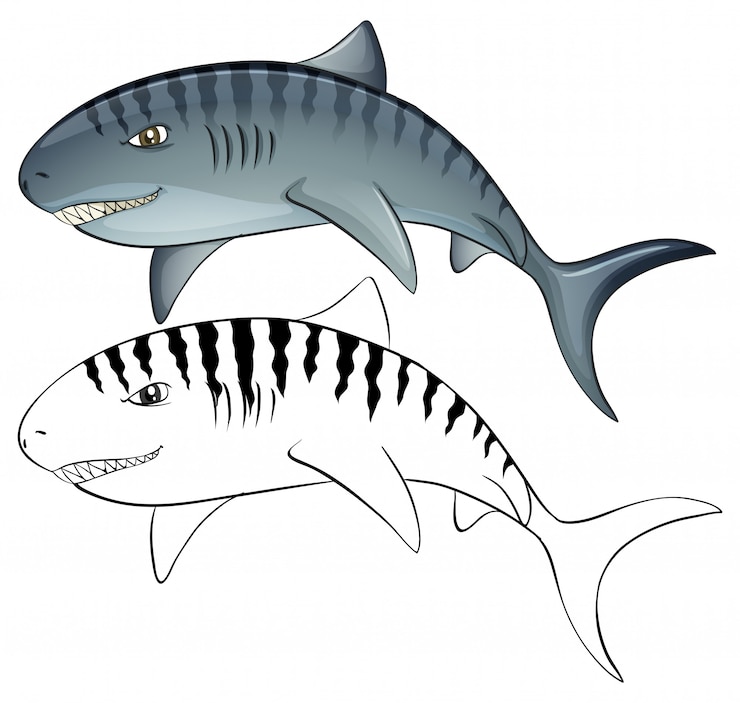 Vector gratuito esquema animal para tiburón