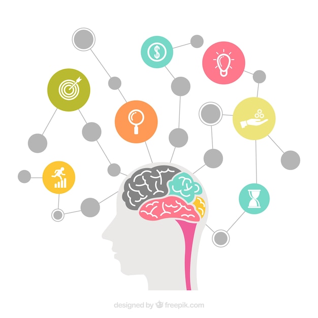 Esquema de cerebro con círculos e iconos
