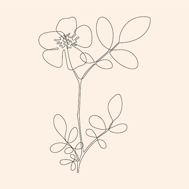 Esquema de flor simple dibujado a mano