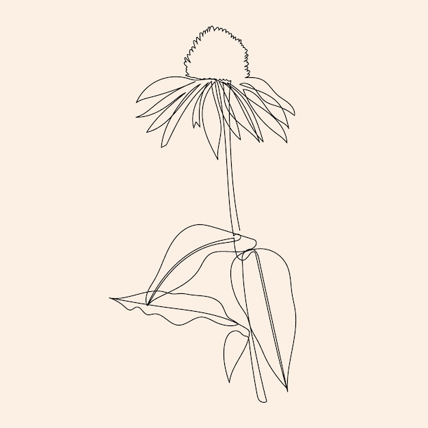 Esquema de flor simple dibujado a mano