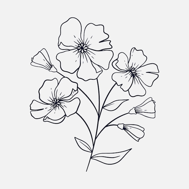 Esquema de flor simple dibujado a mano