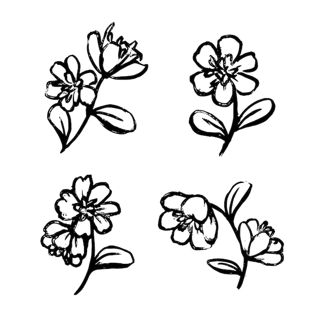 Esquema de flor simple dibujado a mano