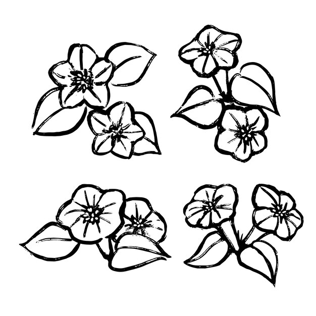 Esquema de flor simple dibujado a mano