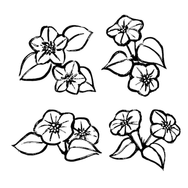 Esquema de flor simple dibujado a mano