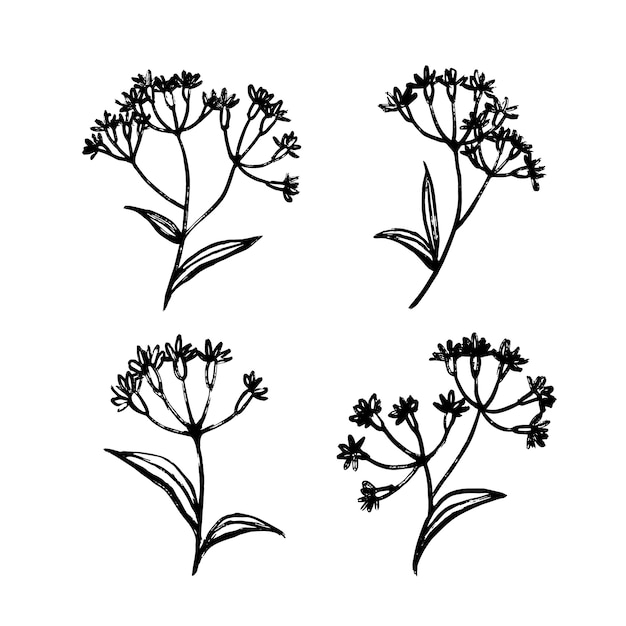 Esquema de flor simple dibujado a mano