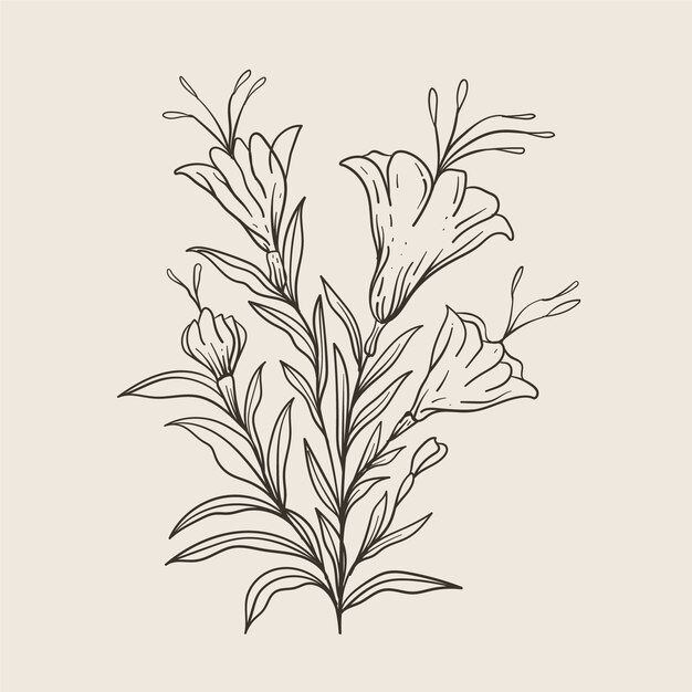 Esquema de flor simple dibujado a mano