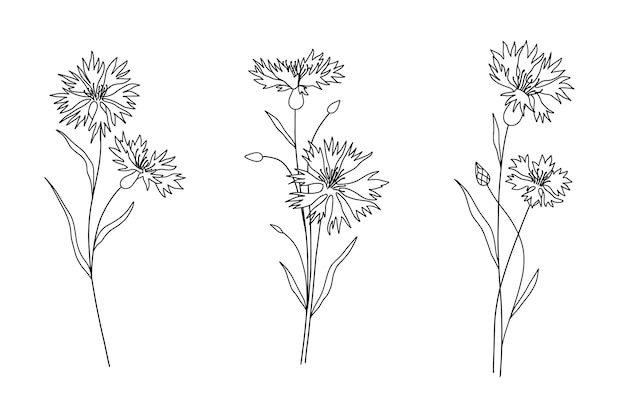 Vector gratuito esquema de flor simple dibujado a mano