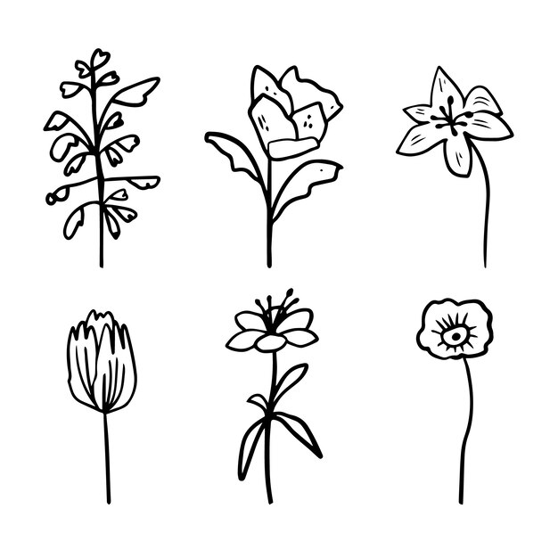 Esquema de flor simple dibujado a mano