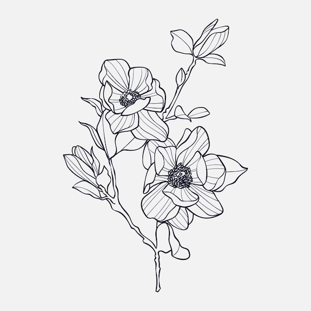 Esquema de flor simple dibujado a mano
