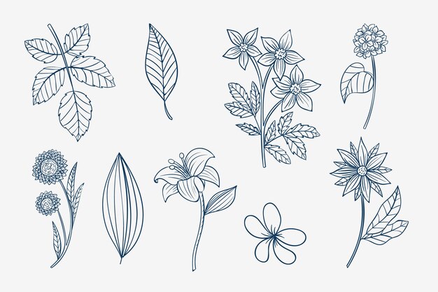 Esquema de flor simple dibujado a mano