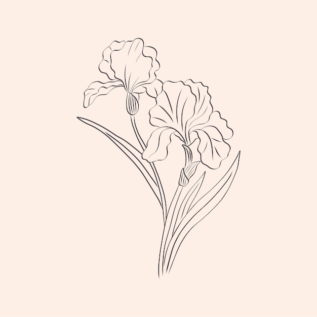 Esquema de flor simple dibujado a mano
