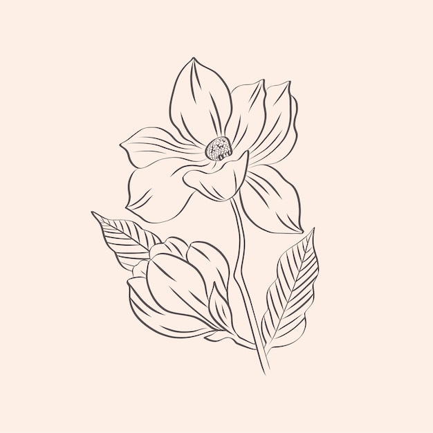 Esquema de flor simple dibujado a mano