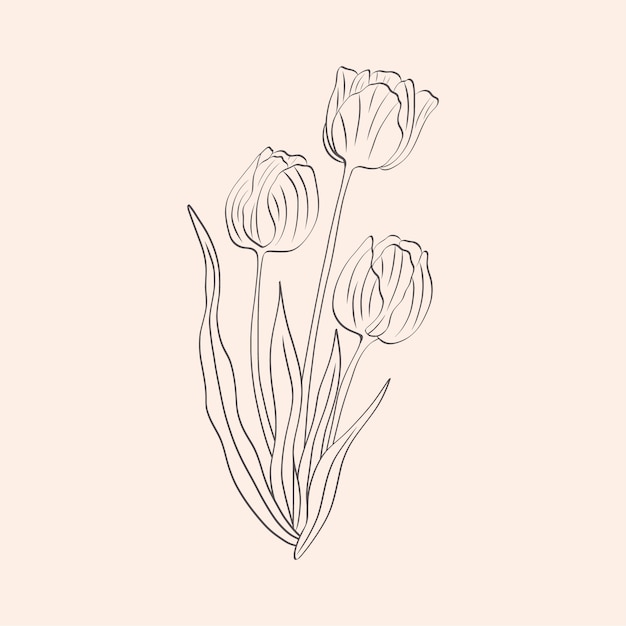 Esquema de flor simple dibujado a mano