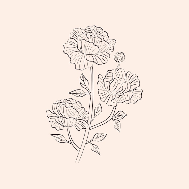 Esquema de flor simple dibujado a mano