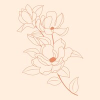 Vector gratuito esquema de flor simple de diseño plano dibujado a mano