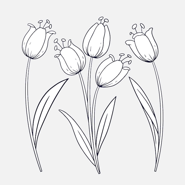 Esquema de flor simple de diseño plano dibujado a mano