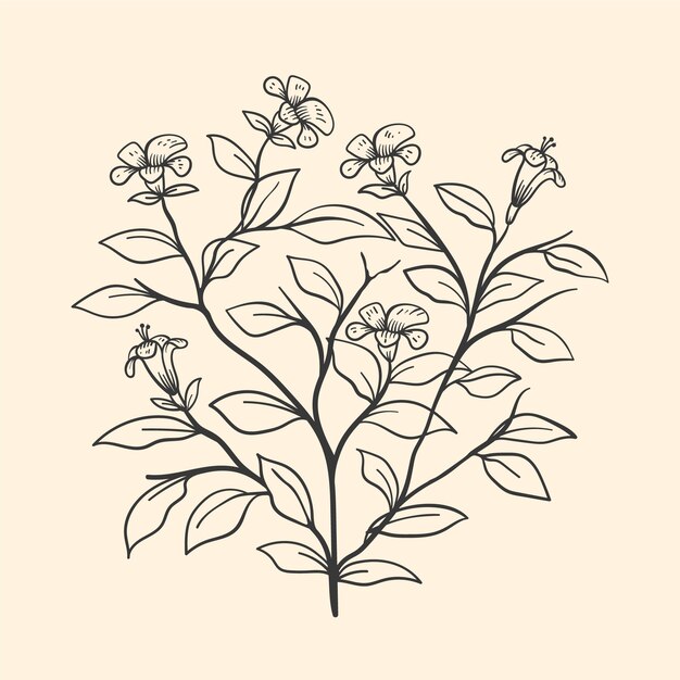 Esquema de flor simple de diseño plano dibujado a mano