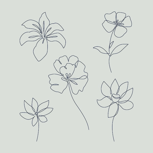 Esquema de flor simple de diseño plano