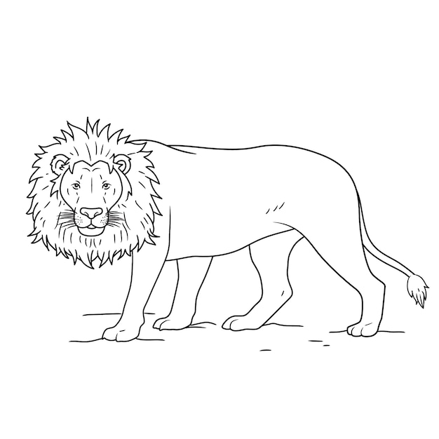 Esquema de león dibujado a mano