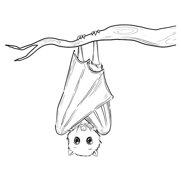 Esquema de murciélago dibujado a mano