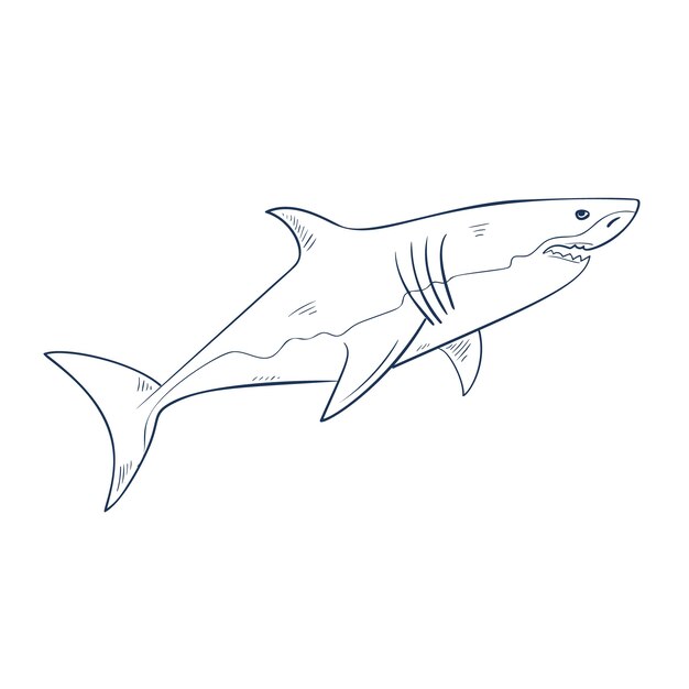 Esquema de tiburón de diseño plano dibujado a mano