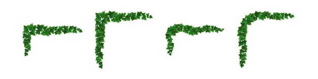 Esquinas de hiedra, vid trepadora con hojas verdes de planta enredadera para decoración de borde o marco. Rama de Hedera colgada en la pared del jardín, aislado sobre fondo blanco. Ilustración de vector 3d realista, conjunto
