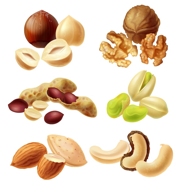 Establecer iconos de vector de frutos secos