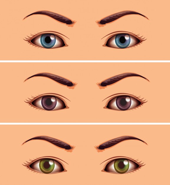 Establecer si el área cercana de los ojos humanos